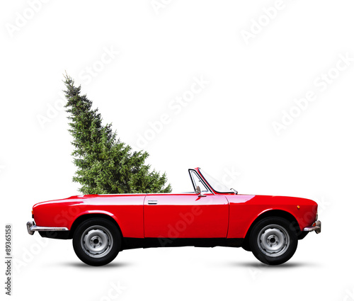 Tannenbaum im Cabriolet