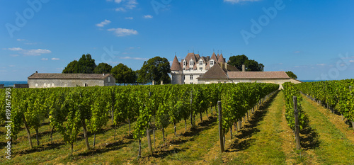 Castle Montbazillac-Vineyard of Bergerac-Dordogne-France