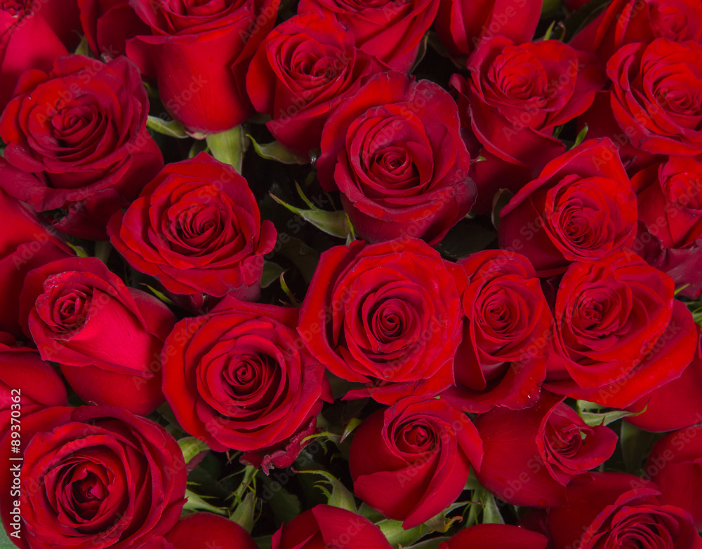 Plenty red natural roses background