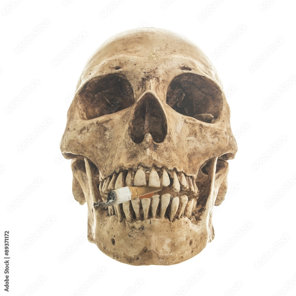 Obraz premium Skull and old apple on a White background