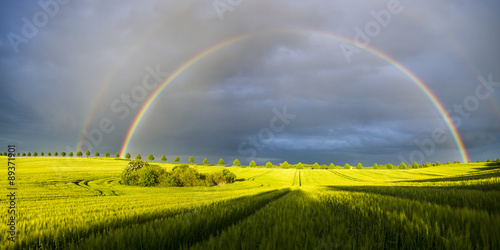 Spring colorful rainbow over the field 