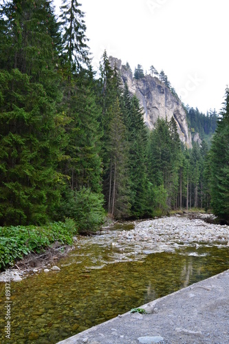 Tatry - Dolina Chochołowska