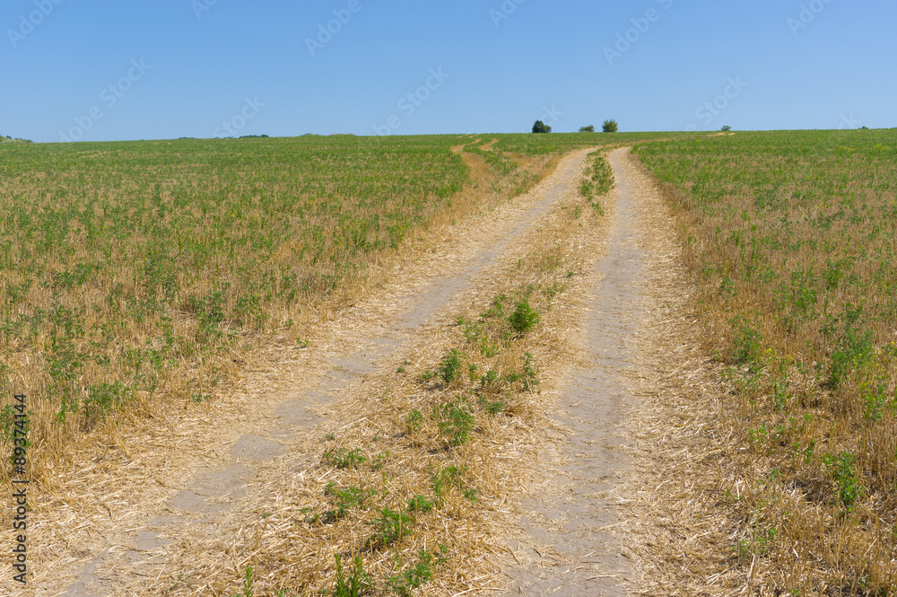 Fototapeta premium Technological dirt road in mown crop field