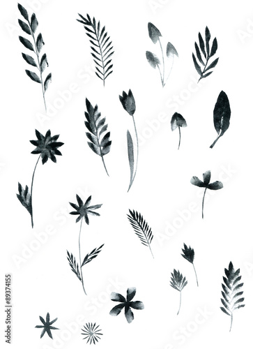 set of black watercolor floral elements