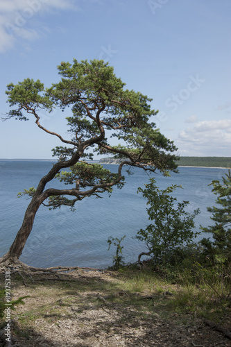 Utsikt från en klippkant på Gotland i Lickershamn en solig sommardag.