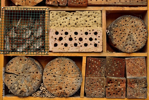 Insektenhotel in Wald - Insect hotel in the forest photo