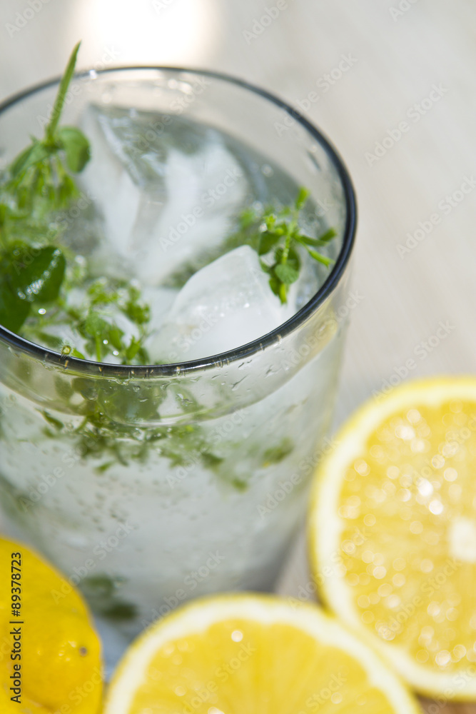mojito with lemon mojito with lemon