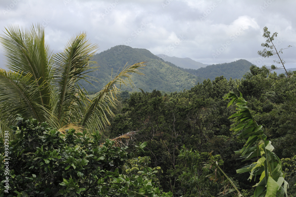 The lush mountains of Dominica. Focus is on mountaintops.