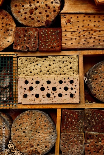 Insektenhotel in Wald - Insect hotel in the forest photo