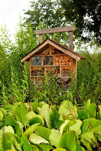 Insektenhotel in Wald - Insect hotel in the forest photo