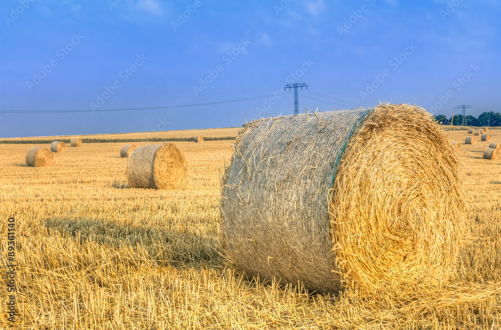 Heuballen zur Getreide-Erntezeit