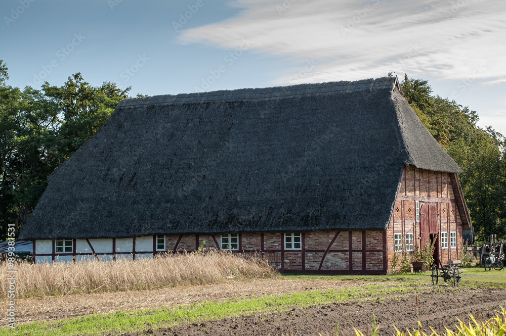 Typical Thatched Roof House