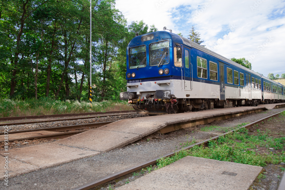 Obraz premium Passing train.