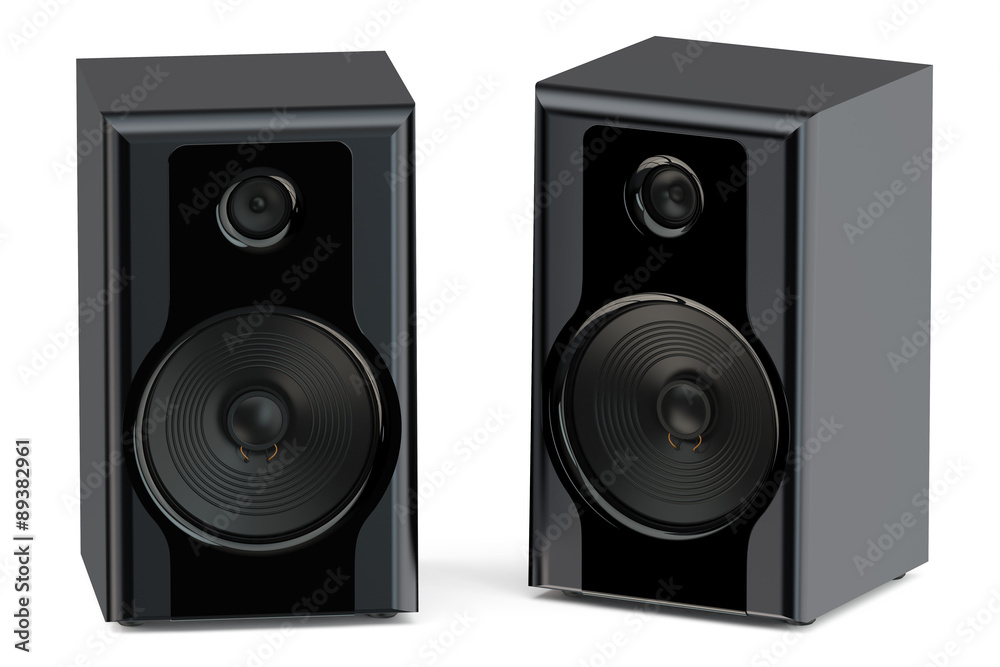 Obraz premium two loudspeakers