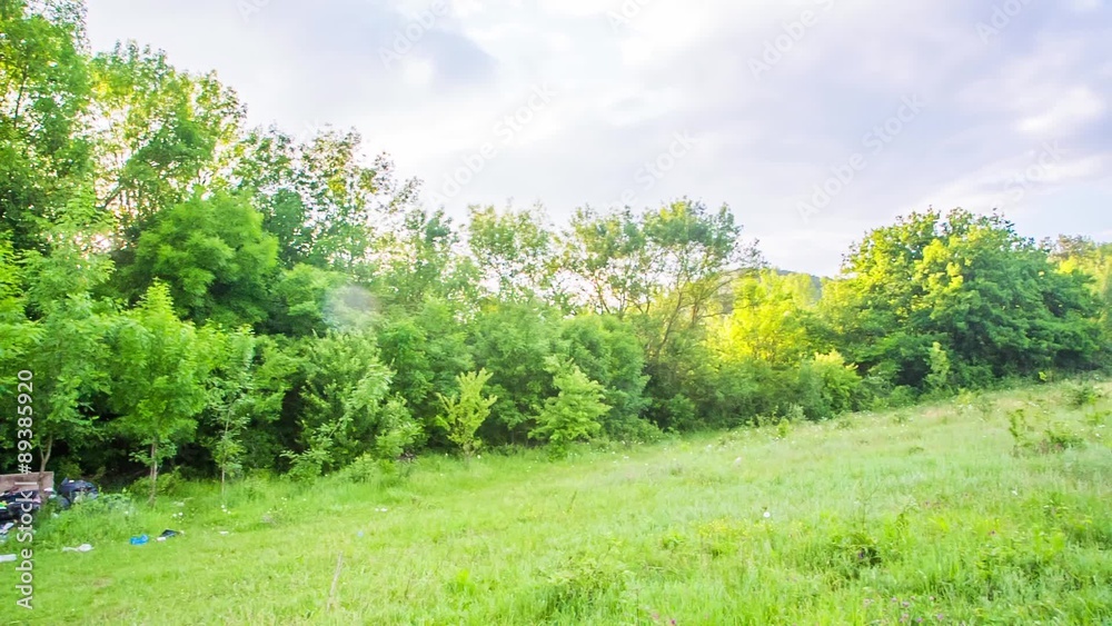 Wastes Scattered On Green Grass In Forest Wastes Scattered On Green Grass In Forest