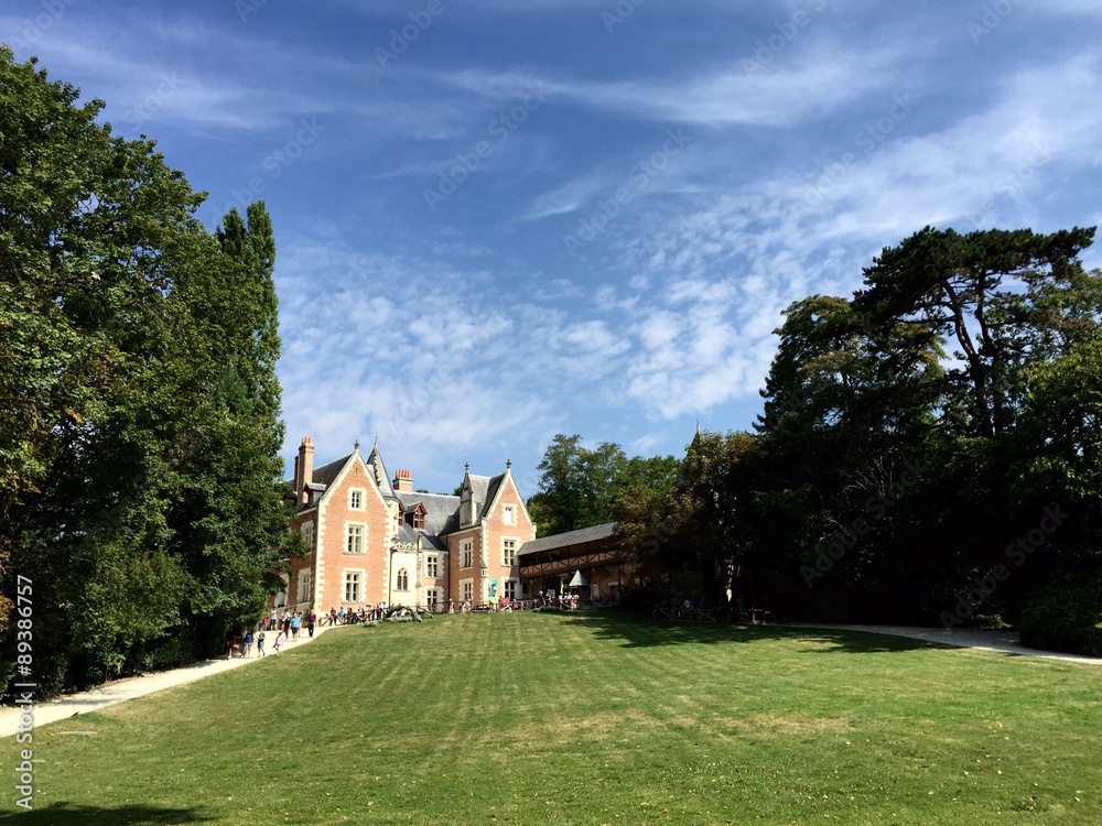 Fototapeta premium Amboise Clos Luce' - Loira, Francia