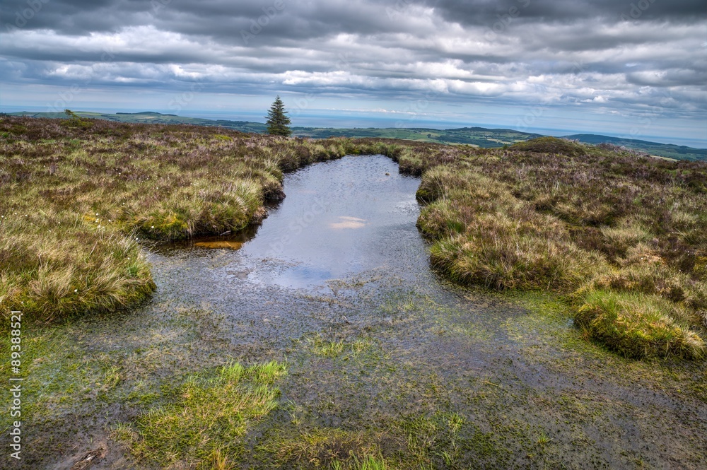 Marshes in Wicklow mountains