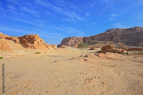 Canyon in the desert in Egypt