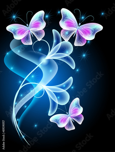 Fototapeta Butterflies with glowing firework
