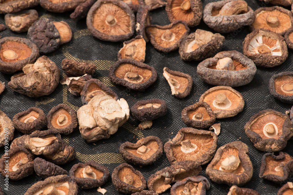 Chinese mushrooms laid out to dry in the sun Chinese mushrooms laid out to dry in the sun