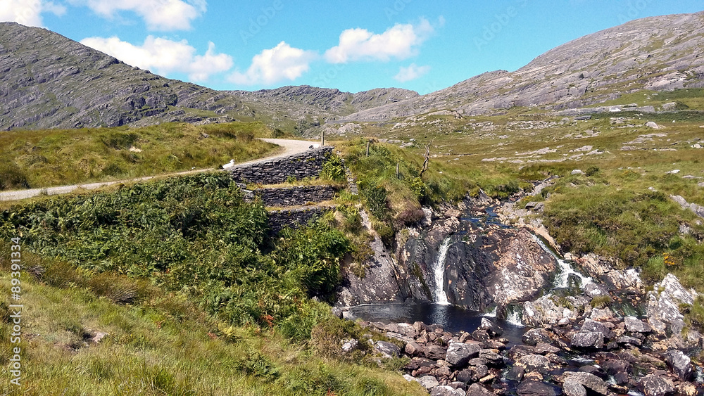 Fototapeta premium Healy Pass, Beara, Irland