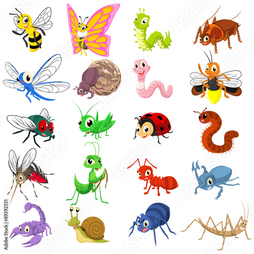 Set of Insect Cartoon Character Flat Design Vector Illustration