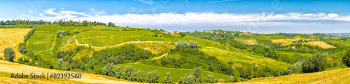 Agricultural cultivated fields in Italy