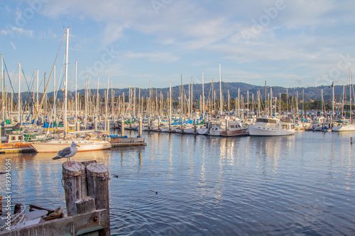 Monterey Harbor