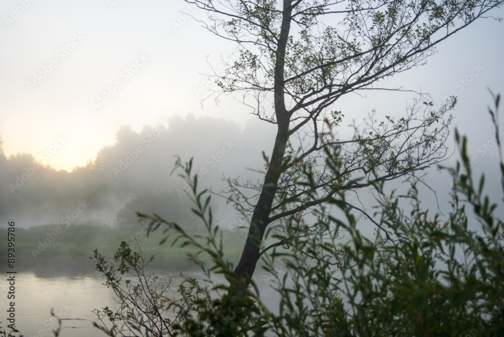 river river