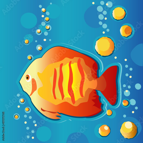 Tropical fish swimming underwater with bubbles.
