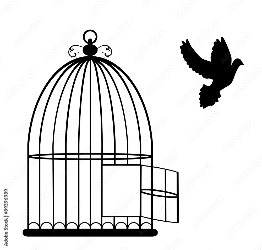 Bird Cage ilustración de Stock Adobe Stock