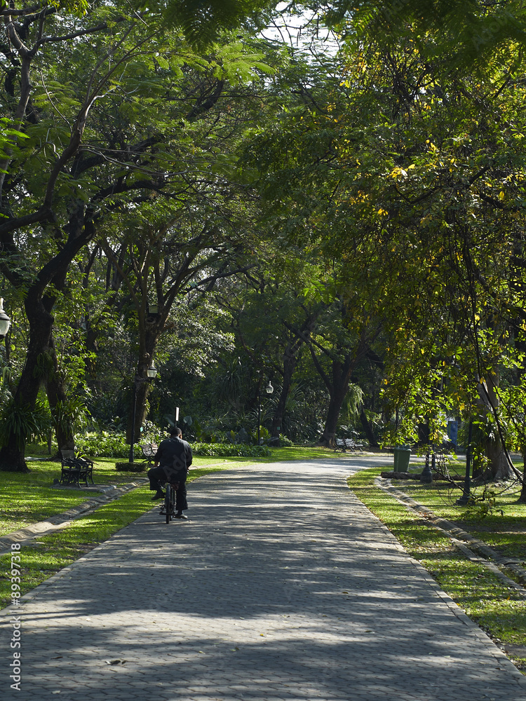 man and bicycle in park man and bicycle in park