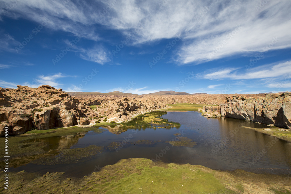 Paradise landscape, lake and strange rock formations, Bolivia