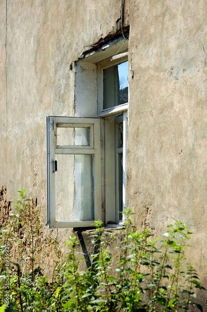 window to summer garden