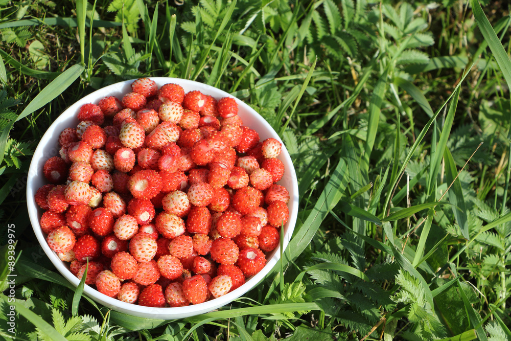 Ripe red wild strawberry in a plate in a grass in the wood Ripe red wild strawberry in a plate in a grass in the wood