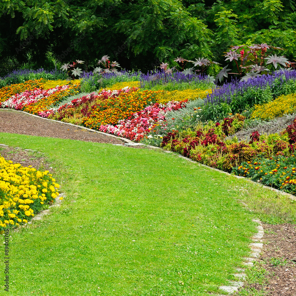Obraz premium Blossoming flowerbeds in the park