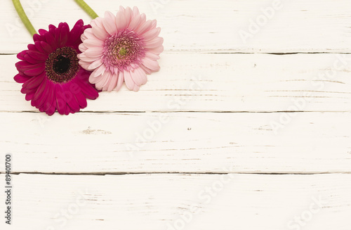 Gerbera Pink Rosa auf Holz Hintergrund Weiß im Shabby Style