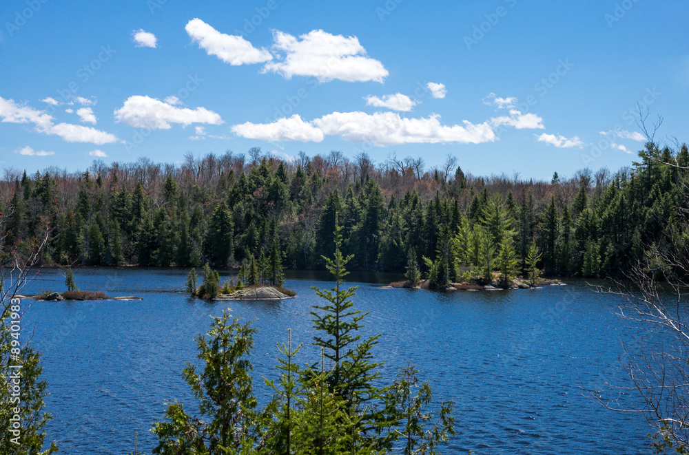 Canada,Quebec, Mauricie national park, view of the Blanc lake