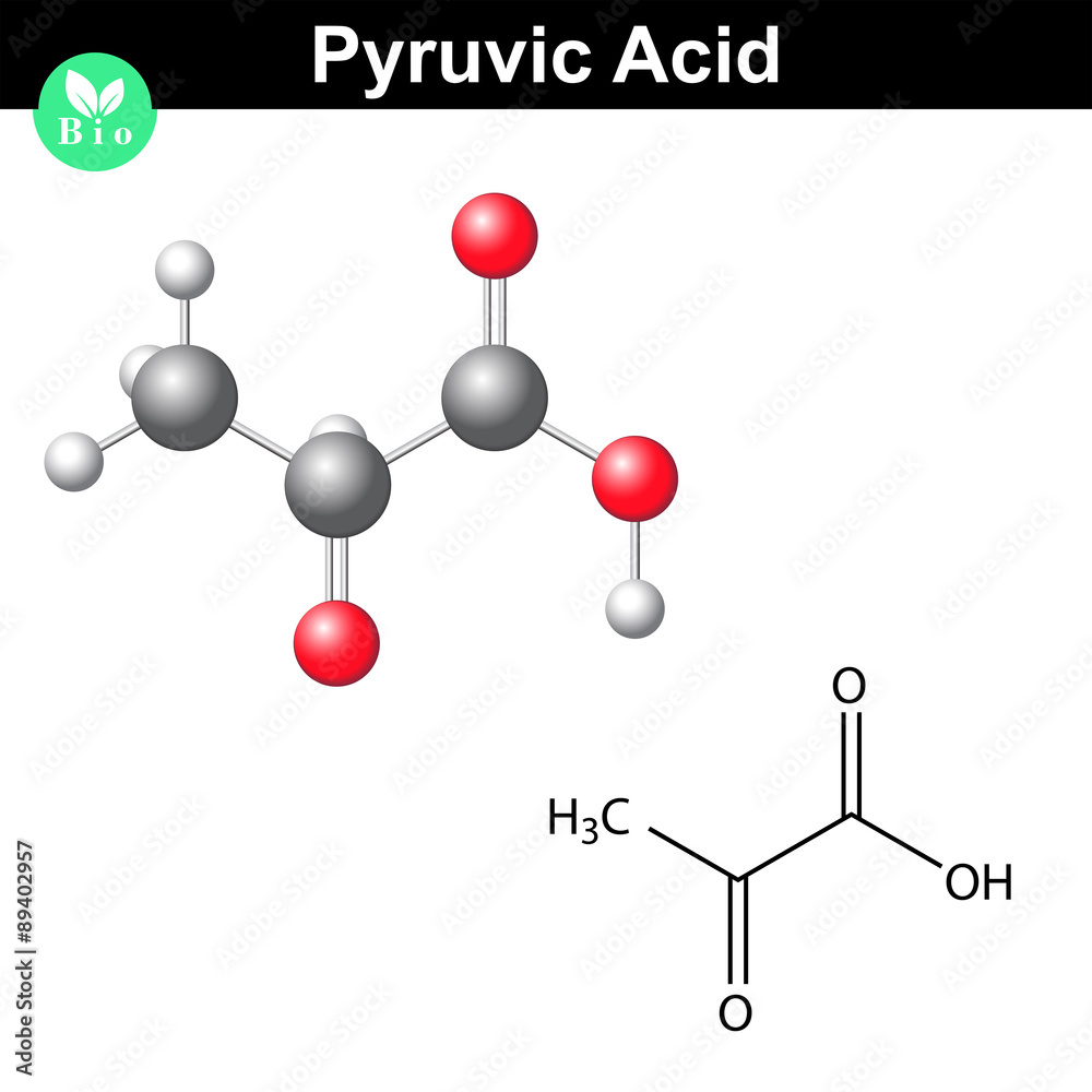 Pyruvic acid molecule Pyruvic acid molecule