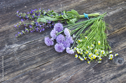 medical herbs binch on old wooden background photo