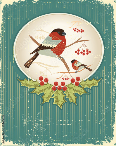bullfinches in winter.Vintage christmas card for text