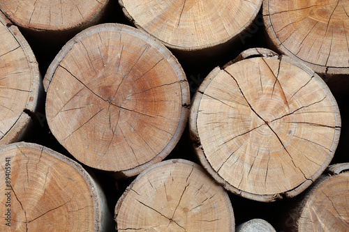 Fototapeta Naklejka Na Ścianę i Meble -  wood logs texture of aged annual rings