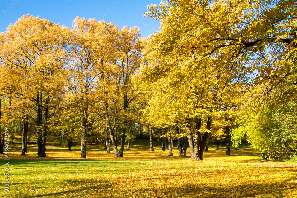 Beautiful autumn park Beautiful autumn park