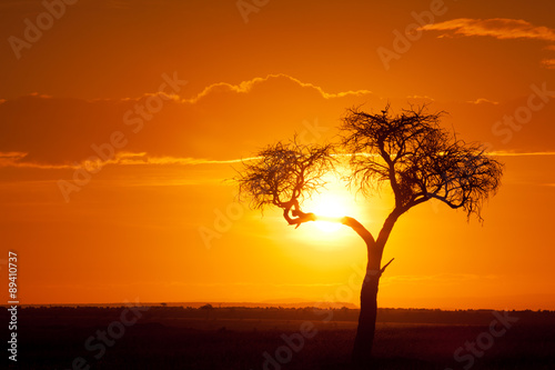 African sunset © ivanmateev