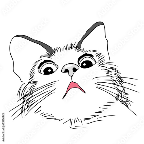 Scared, worried cat, hand draw illustration