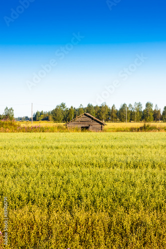 Very Old Barn In The Middle Of The Fields