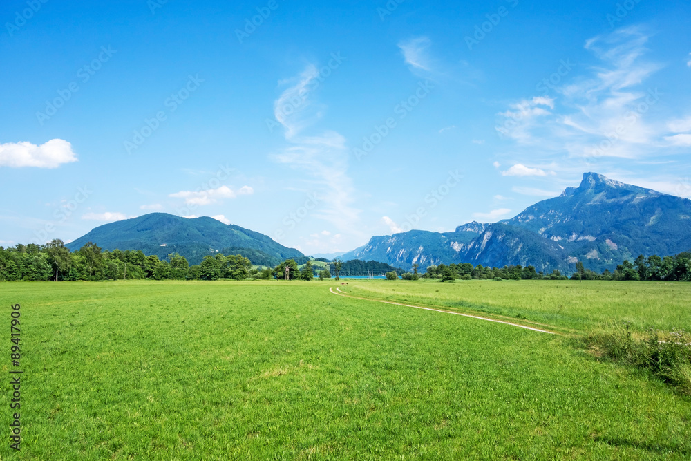 Green rural landscape