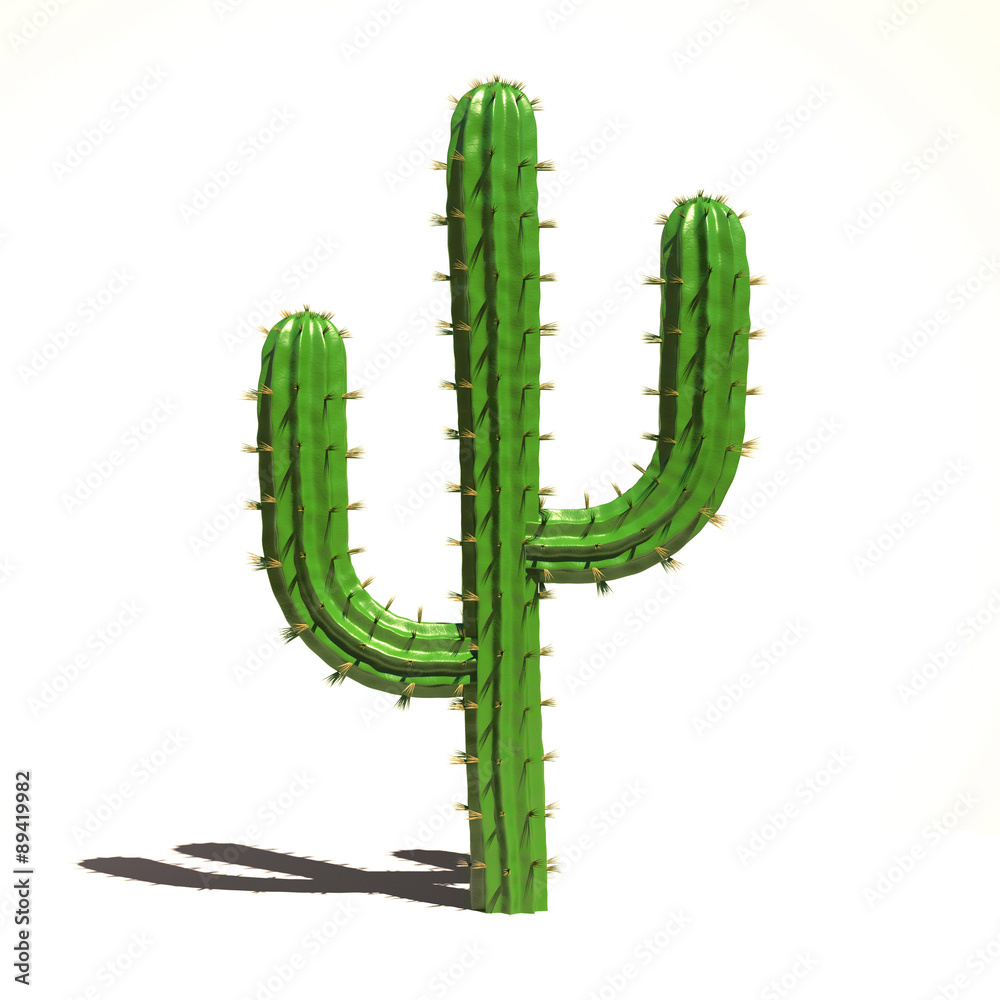 Fototapeta premium Cactus 3d illustration
