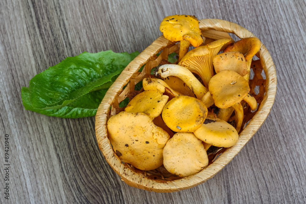 Chanterelle Chanterelle