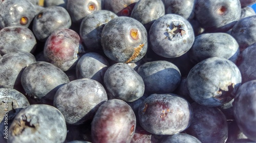 Fresh ripe healthy blueberries 